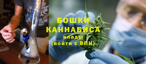 ГАЛЛЮЦИНОГЕННЫЕ ГРИБЫ Абинск
