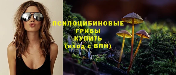 дурь Алзамай