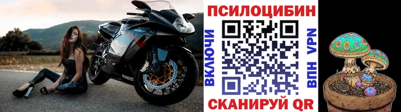 Галлюциногенные грибы ЛСД Дубовка